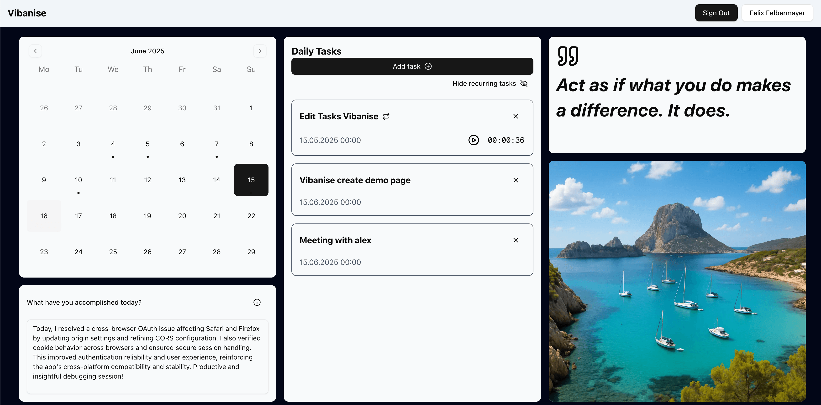 Vibanise dashboard preview